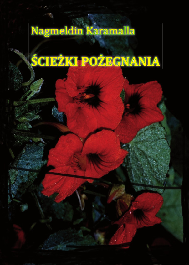 book_cover
